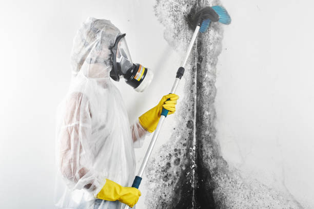 Best Asbestos and Lead Testing During Mold Inspection  in Glendive, MT