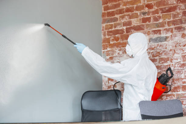 Best Post-Remediation Verification Testing  in Glendive, MT