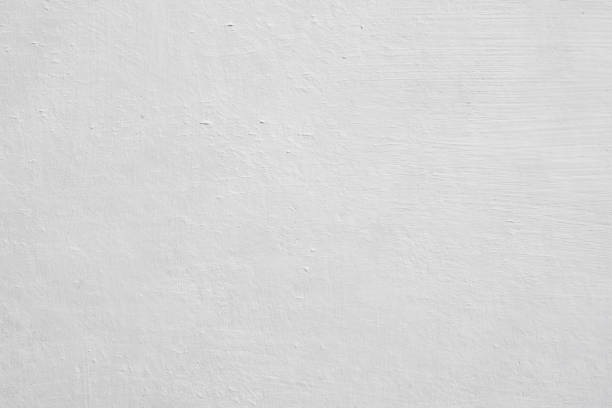 Best Emergency Mold Remediation  in Glendive, MT
